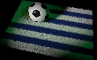 爱游戏入口-中国足球比赛数据完整度统计,中国足球比赛数据完整度统计表