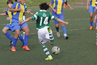 爱游戏官网app-中国足球高密度传控战术回合成功统计，中国足球高密度传控战术回合成功统计